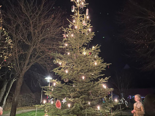 Weihnachtsbaum in Prasdorf